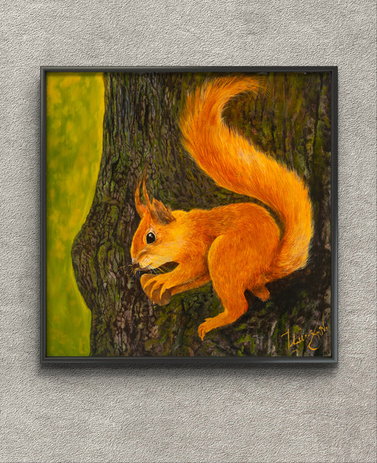 Irish Red Squirrel